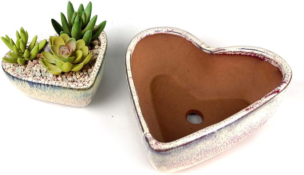 6.5 Inch and 4.5 Inch Glazed Terracotta Succulent Pot Planter Large Plant Pot with Drainage Hole Cactus Pot Ceramic Pot (Heart Red 2 Pc Set)