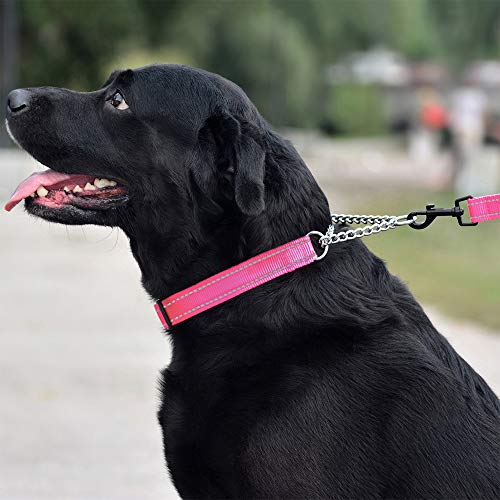 Collardirect Martingale Dog Collar Training Adjustable Stainless Steel Chain Reflective Nylon Pet Collars For Medium Large Dogs (M, Neck Fit 14"-20", Pink) #TOP2
