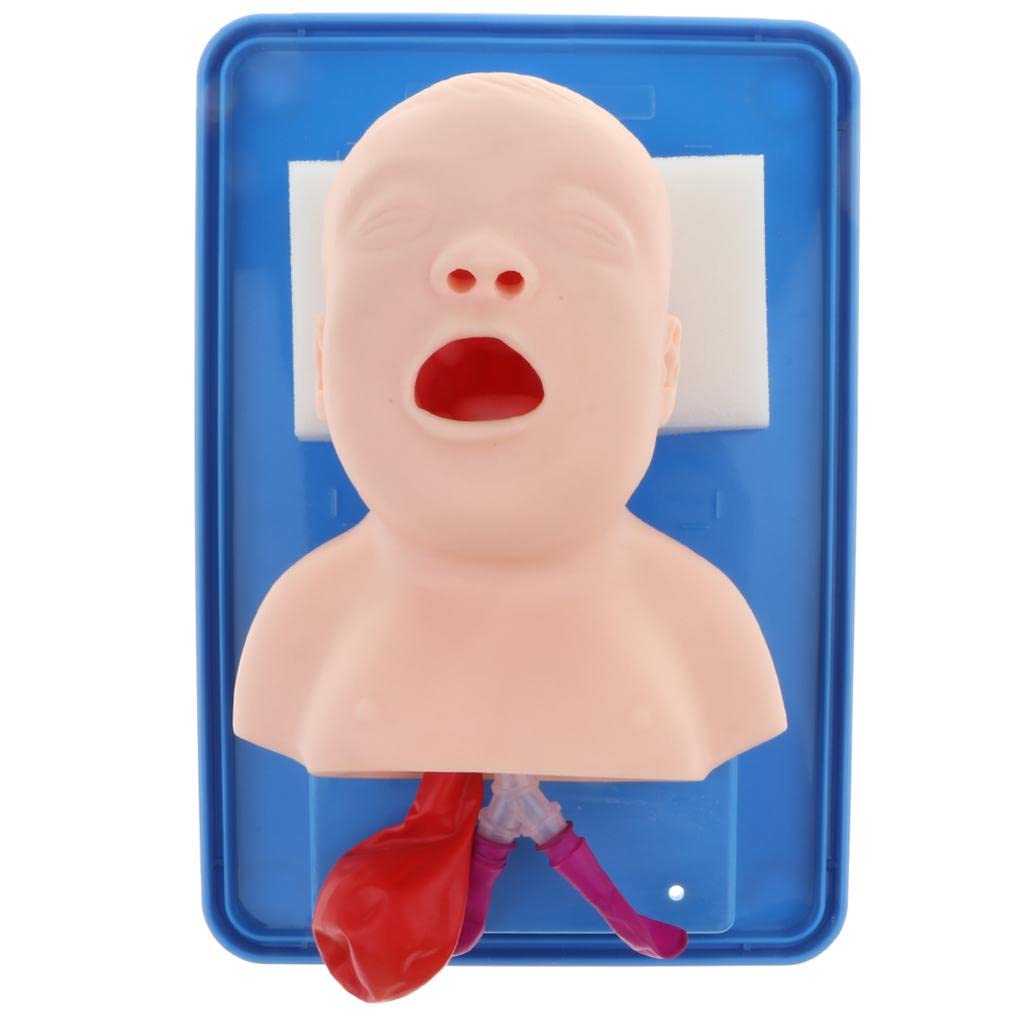 MYADDICTION Advanced Infant Intubation Manikin Teaching Tool Airway Management Trainer Nurse School Learning Display (B0D4F4BN9N) Amazon Price History, Amazon Price Tracker