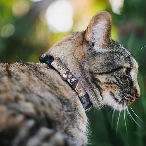 Collar de gato Disney Breakaway con campana y diseño de cartas postales 3