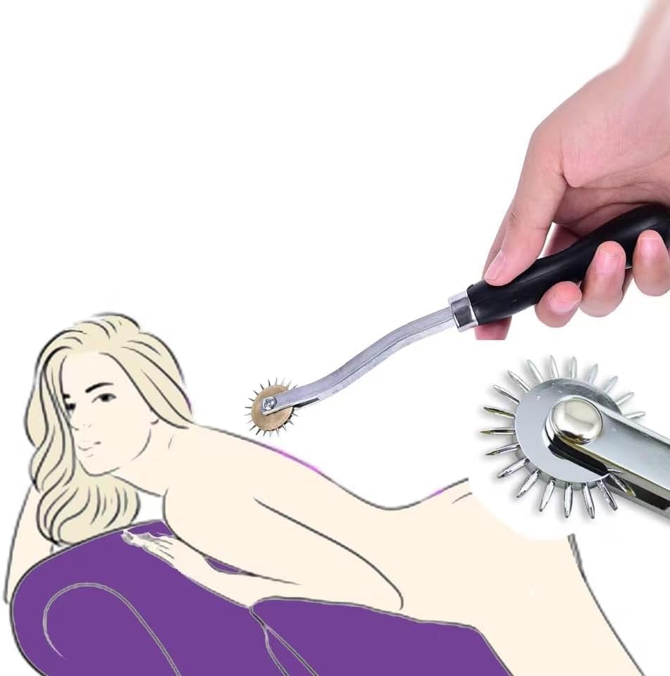 SM Sexspielzeug Sensibilitätsrad Mikronadelroller Sex Toys für Paare NippelBrust Penis Zunge Körper Stimulator Sex Roller Pin Rad Extrem BDSM Fetisch Spielzeug