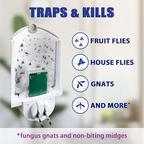 Image of Flying Insect Trap for Indoor Use (2 Staters & 6 Refill Cartridges), UV Light Bug Catcher for Fruit Flies, Gnats & Small Flying Pests, Silent, No-Zap, Mess-Free