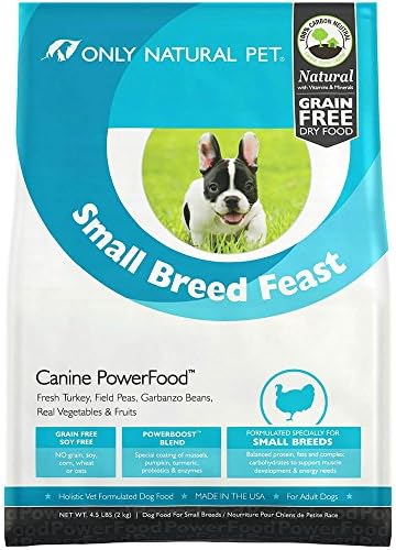 most aggressive small dogs