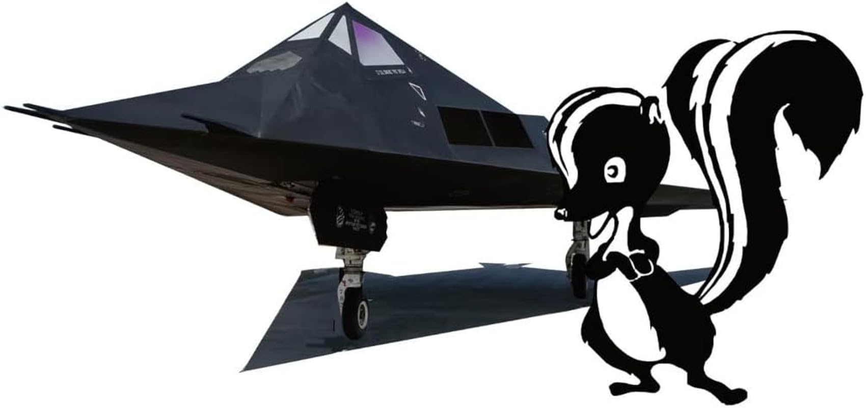 Amazon.co.jp: PLATZ 1/144 US Air Force Stealth Fighter F-117