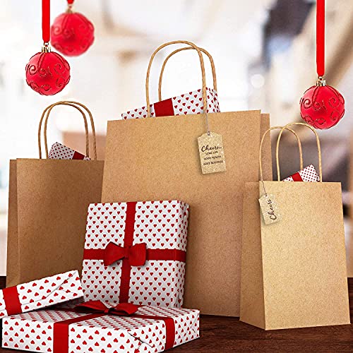Image of RanGit Bhumi Gift Bags- 10pcs 8 inchx4 inchx10 inch Small Brown Paper Bags for Shopping Retail Paper Carry Bags, Party Favor Return Gifting Covers, Disposable Recyclable Eco Friendly (8x4x10 in Brown, 10 pack)