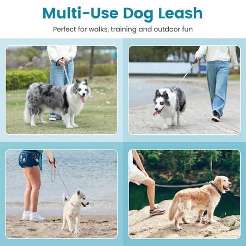PETTOM Hundeleine Kette, Hundekette Leine, Bissfeste Hundeleine 120cm Metall, Kettenleine mit Gepolstertem Griff für Große und Kleine Hunde