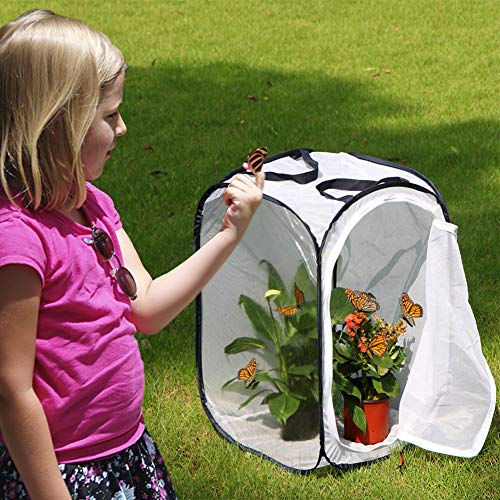 Image of RESTCLOUD Insect and Butterfly Habitat Cage Terrarium Pop-up 23.6 Inches Tall