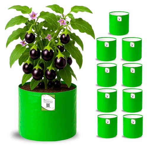 ORGANIC BAZAR 10x10 Grow Bags for Terrace Garden, Premium HDPE 26...