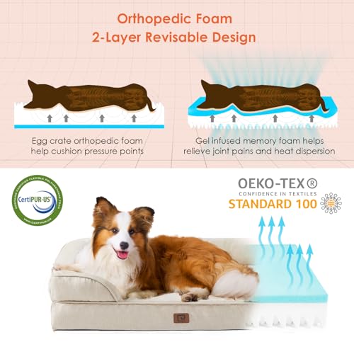 EHEYCIGA Orthopädisches Hundebett Kleine Hunde, 76x51cm, Memory Foam Hundekorb Mittelgroße Hunde, Waschbar Hundesofa Wasserdicht rutschfest, Hundecouch mit Hohem Rand, Beige