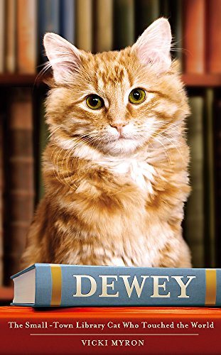 Dewey: The small-town library-cat who touched the world: A Small Town, a Library and the World's Most Beloved Cat