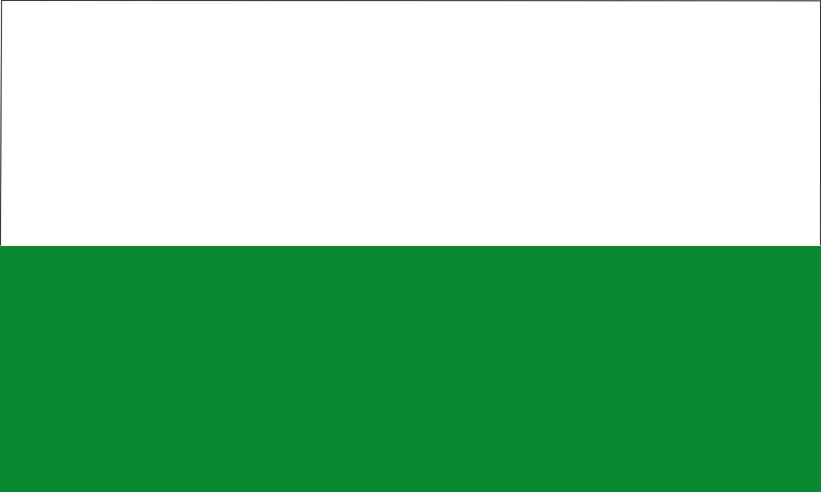 Drapeau blanc et vert grand format résistant aux déchirures du vent pour mât