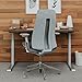 Haworth Fern Office Chair – Ergonomic and Stylish Desk Chair with Breathable Mesh Finish - Without Lumbar Support (Silver Leaf)