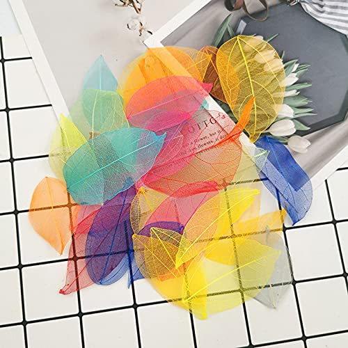 HAOBIN Natural Dry Leaves Dried Leaves Artificial Silk Leaves Decorative Leaves Craft Dry Leaves for Crafts DIY Resin Scrapbook Craft Card Making - Image 3
