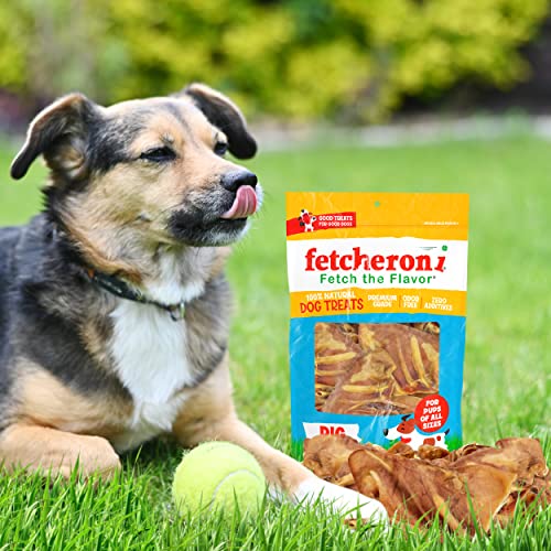 Fetcheroni Pig Ears For Dogs – 6 Piece Count Dog Chew Treats With Natural Pork Meat – Non-Gmo Dog Snacks For Training, Traveling, Home – Delicious Flavor – Great For Teeth And Gums #TOP5