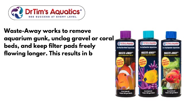 Amazon.com : Dr. Tim's Aquatics Saltwater Waste-Away Sludge