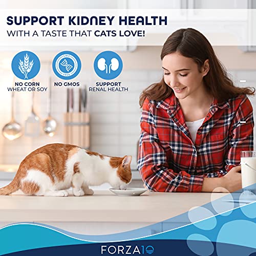 Forza10 Wet Renal Cat Food, Kidney Care Cat Food With Lamb, 3.5 Ounce Can Kidney Support For Cats Wet Food And Renal Health Canned Cat Food, 4 Pack Wet Cat Food #TOP1