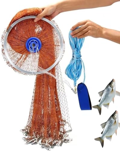 Zumato ނ ^ ^ ^  e A~O^ ۂ d| Ԗڂ w{bV v ω׏d ϋv gѕ֗ 啨_ [Cނ C  D  Gr H AEghA p (420^2.