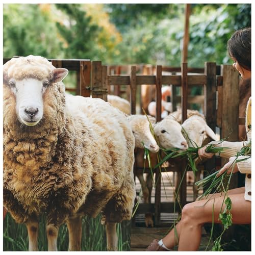 Image of 4 ft Sheep Cardboard Cutout Stand-up Lifesize Religious Sheep Backdrop Photo Props for Farm Theme Birthday Party Easter Nativity Scene Bible School Birthday Party Decorations