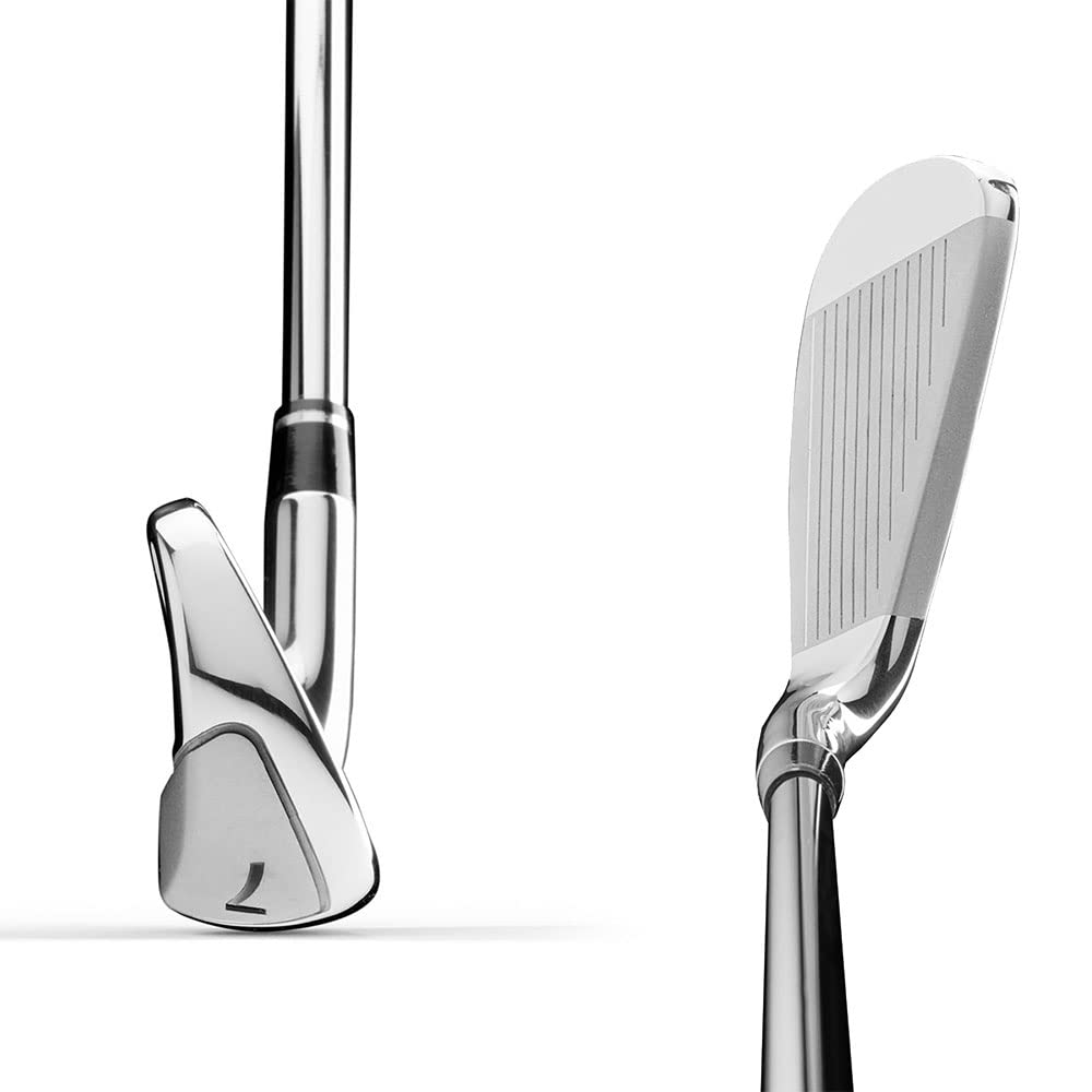 Wilson D300 Eisen 5-SW Regular (Regulär)