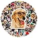 50pcs Funny Dog Meme Cute Animal Kawaii Vinyl Sticker Pack for Laptop, Phone, Water Bottles, Computer Pet Sticker Decals Gifts for Kids Adult Teens