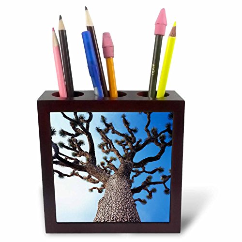 Tile porte-stylo Joshua Tree California 12,7 cm pour bureau