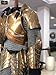 NauticalMart Elven Armor Set, LARP Armor Set, Body Armor, Cosplay Armor Halloween Costume (Brass)