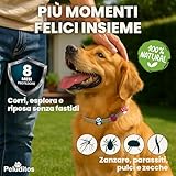 ADV Home B0FJ8Z7H2W lato 2