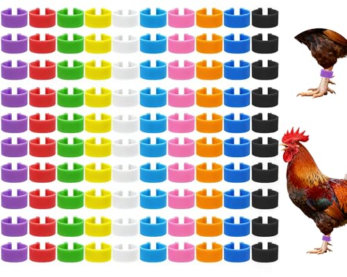 Keedolla 200 Pcs 16mm Chicken Leg Rings Colorful Numbered Chicken Identification Leg Bands Clip on Poultry Foot Rings Chicken Ankle Tags for Chicks Duck Bantam Guinea Pigeons Gamefowl