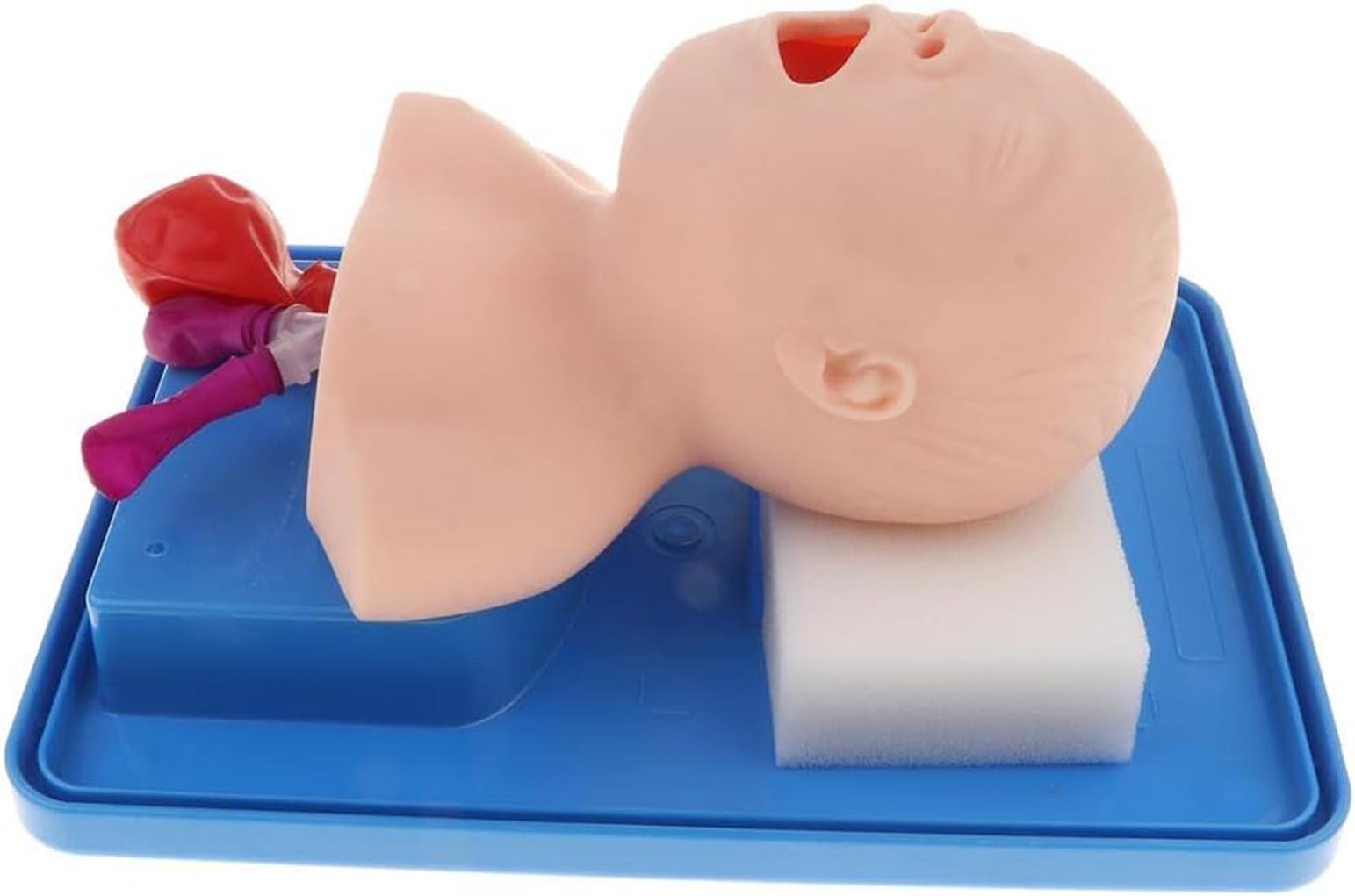 Modello di Formazione per L'intubazione Tracheale Bucconasale Neonatale Anatomica Manichini per Intubazione Manichino Pediatrica Infantile Simulatore Intubazione delle Vie Aeree Infantili