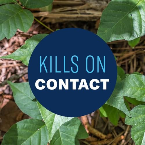 Image of BioAdvanced Brush Killer Plus, Weed Killer Spray, Ready-to-Use, 1 Gallon, Kills Tough Brush Roots & Poison Ivy | Kills Poison Ivy - Visible Results in 1-6 Weeks - Rainproof in 4 Hours