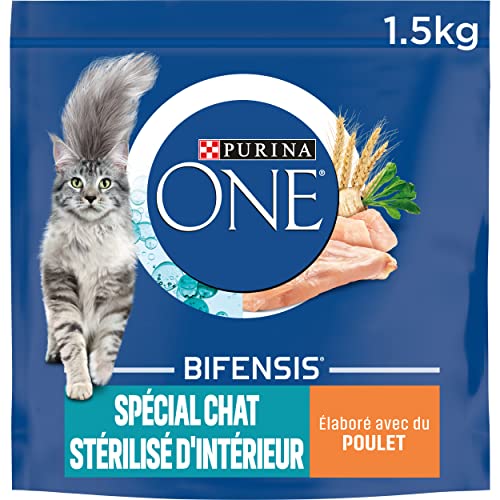 Purina One Spécial Chat Stérilisé D'Intérieur Au Poulet Et Aux Céréales Complètes Croquettes pour Chat Adulte, 6 x 1,5kg,(l'emballage peut varier)