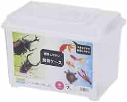 昆虫飼育ケース ステンレスロック付き 楽天市場】トリオロックケース クワガタ カブトムシ 飼育ケース