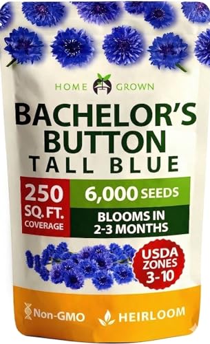 HOME GROWN Bachelor Button Seeds Tall Blue - 6000 Cornflower, Stunning Blue Blooms for Wildflower...