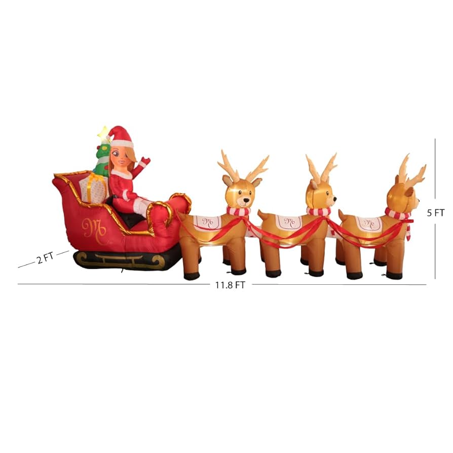 MARIAH CAREY マライア　販促物 Mariah Carey Official Merch Inflatale : Amazon.ca: Patio
