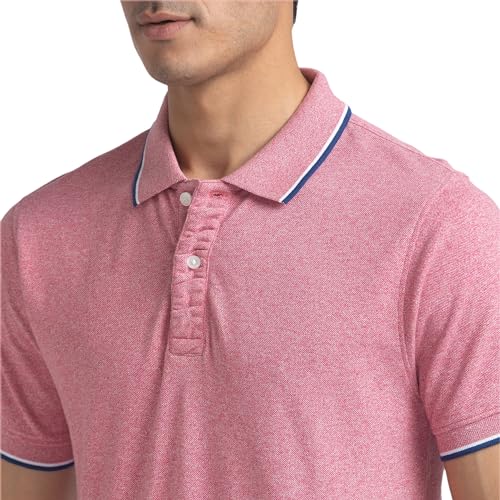 Image of Colorplus Tailored Fit Medium Green T-Shirt for Men