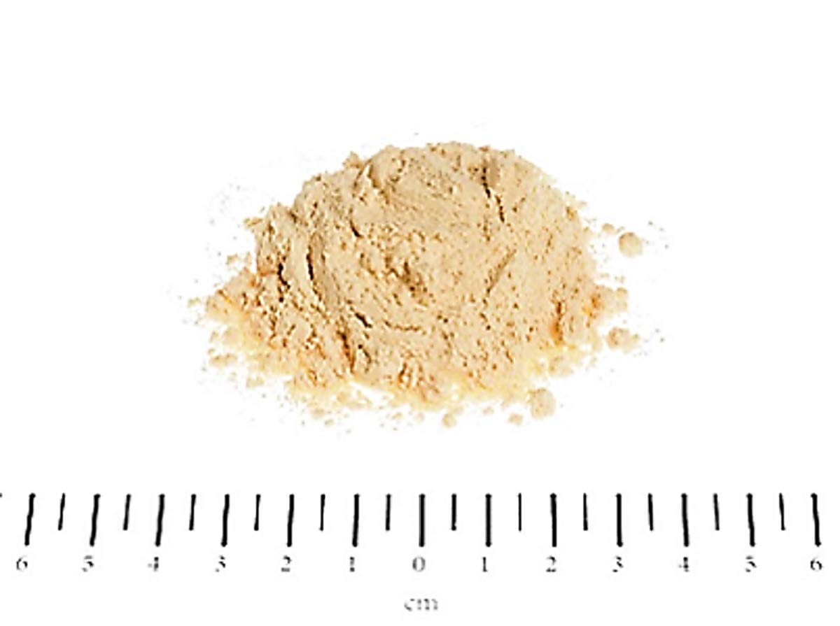 毎日健骨　プロテイン Amazon | 【毎日健骨】アクティブプロテイン | Canina