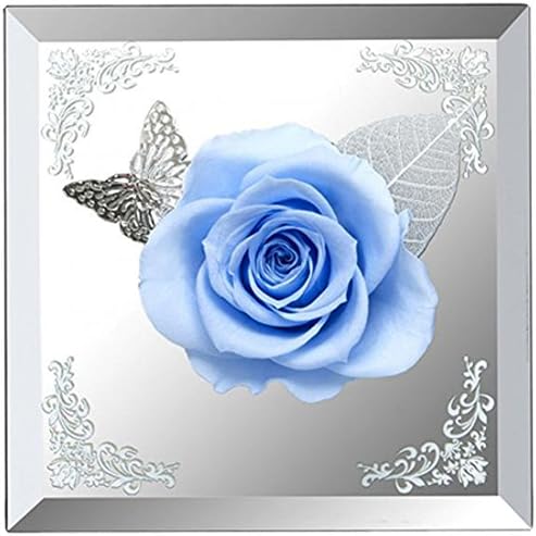 Millennium Art SD7710BB Stand Mirror Square S wz Butterfly Blue