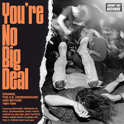 You're No Big Deal-Grunge 1984-1994 (4CD)