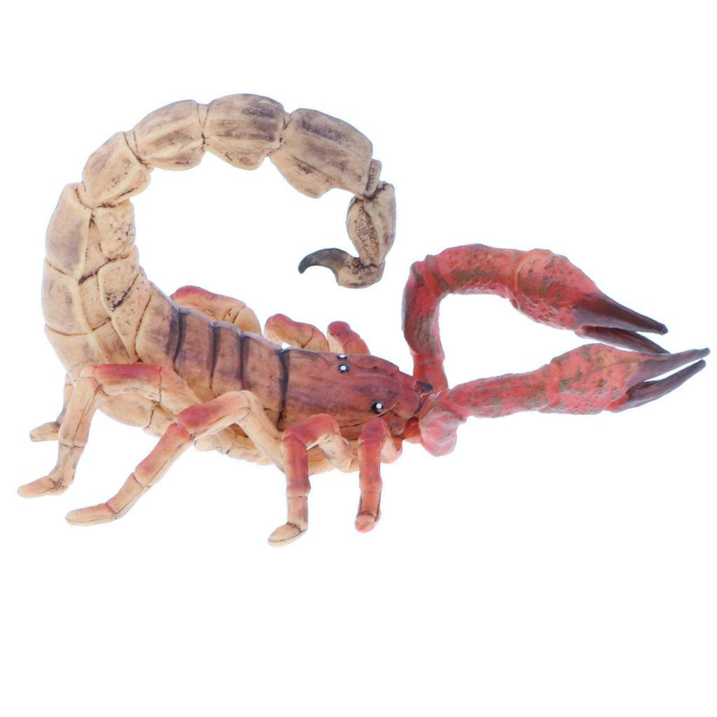 VELURA Plastic Animal Model Figure Figurines Toy for Kids Gift Home Decor Scorpion|1 x Scorpion Model| Animals & Nature| Science & Nature | Educational |Toys & Hobbies