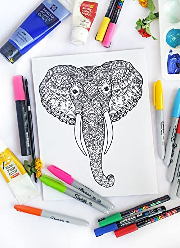 Elephant Head pre-printed Coloring Canvas For Adults, Stretched primed canvas to color, 8 x 10