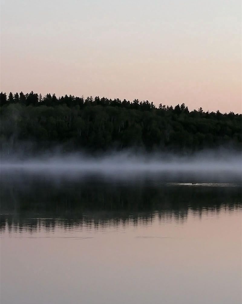 1000 Piece Jigsaw Puzzle for Adults & Kids Age 12 Years Up-Fog,surface,of,the,water,trees 70x50cm