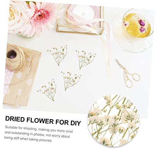 Ramo de flores secas naturales para decoración DIY miniatura 3