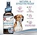 PetSilver Antibacterial Wound & Skin Spray | Dog Hot Spot Treatment & Cat Wound Spray | Chelated Silver Skin Soother for Rashes & Sores | Dog Wound Care & Itch Spray - 4 fl oz