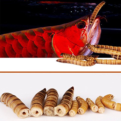 Jacksuper Fresh Dried Mealworms Bulk High-Protein Mealworms Treats For Reptile, Bird, Chicken, Fish Food (280G) #TOP2