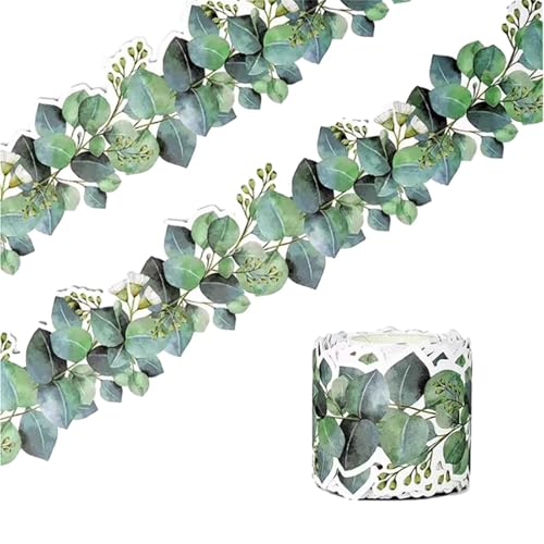Cenefa de eucalipto, 7,6 cm x 15 m, borde de eucalipto, hojas verdes, cenefa para aula, escuela, tablón de anuncios, pizarra de pared, papel pintado, cenefa verde