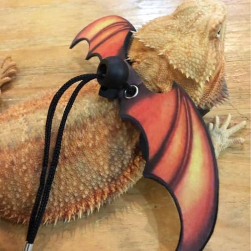 Peitoral de lagarto de dragão barbudo – Coleira ajustável de couro legal para répteis de lagarto de