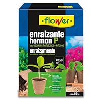 HORMON P ENRAIZANTE POLVO 5X10gr