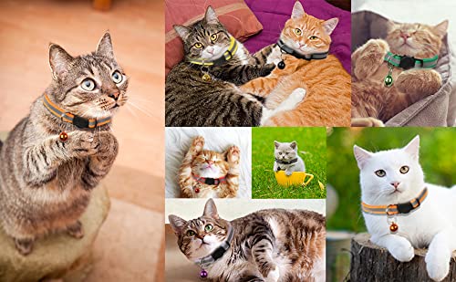 SMXXO 12 Pack Cat Collars with Bells Relective-Breakaway Set,Adjustable Safety Kitten Collar for Girl Boy,with 2 Name ID… - Image 7