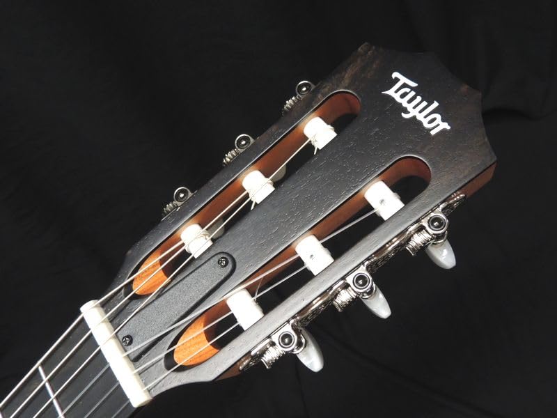 Amazon | Taylor 112ce-N Nylon テイラー エレガット ナイロン弦