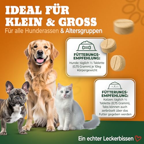 NATIVIVO Fellpflege Hund Katze - Juckreiz Hund Fellpflege - Biotin & Zink - Unterstützend bei Juckreiz - Biotin für Hunde Glänzendes Fell - 2X 50 Tabletten Nahrungsergänzungsmittel für Hunde
